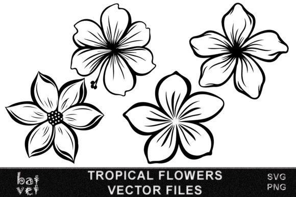 Download Tropical Flower SVG Vector Bundle Design - Design Collection